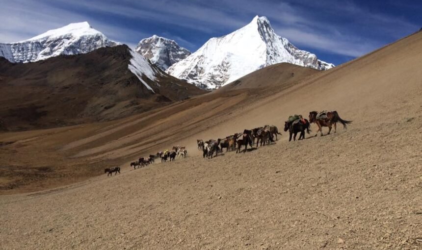 All you need to know about visiting Bhutan – Quick Guide